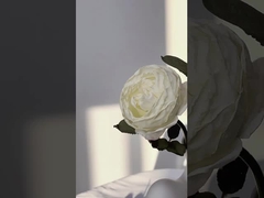 การจําลองดอกไม้เดี่ยว Manta ดอกไม้ดอกกุหลาบ ยิงเครื่องมือ, การตกแต่งบ้านนอร์ดิค ดอกไม้แต่งงาน cr