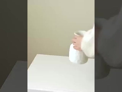 การจําลอง 8 พริกเมล็ดเล็กๆ การจําลองพริกเมล็ดจริงและปลอม การตกแต่งบ้าน งานแต่งงาน