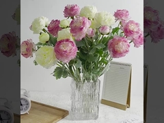 ซิมูเลอร์ 3 หัว สีผิวพรรณ ผิวพรรณดอกลูตัส พีโอเนียมหาสมุทร