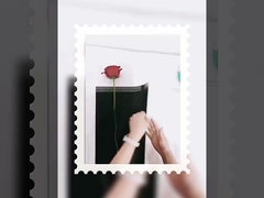 เทพหญิงเดี่ยว พวงดอกไม้ขนาดเล็ก แพคเกจโปร่งโปร่ง Opp หนังกันน้ํา กลมพับในกระดาษดอกไม้ diy mate