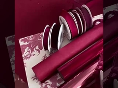 2024 ธาตุสีแดง Ankela