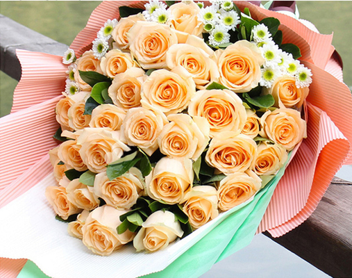 ราคาดี กระดาษลูกฟูกสีธรรมดา 50 ซม. x 70 ซม. ไม่กันน้ำสำหรับห่อดอกไม้ ออนไลน์