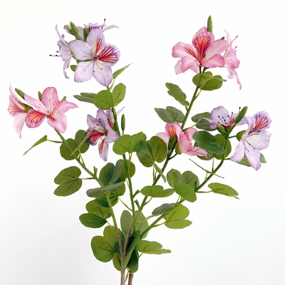 ราคาดี ดอก Bauhinia สินค้าจีน Redbud พลาสติกปลอม สําหรับตกแต่งบ้านและโรงแรม ออนไลน์