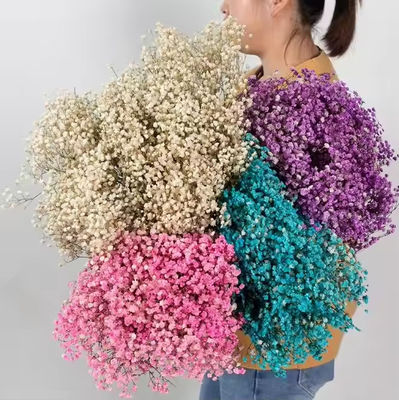 ซื้อ 100 กรัม ดอกไม้แห้ง พวงดอกไม้เทียม หายใจเด็ก ดอกไม้ Gypsophila ดอกไม้ แต่งงานแต่งงาน การผลิตออนไลน์