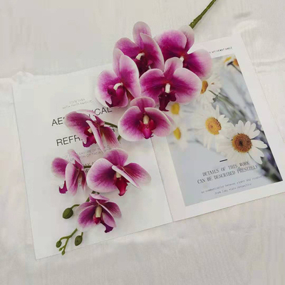 ราคาดี การจําลอง Phalaenopsis หลังแต่งงานแต่ง ออนไลน์