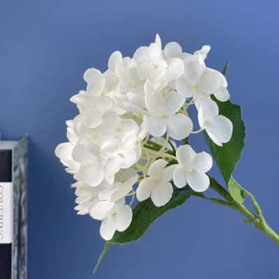ราคาดี Artificial hydrangea, wedding hotel, flower arrangement, floral art, background flower arrangement, artificial flower, single hydrangea ออนไลน์