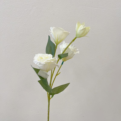 ราคาดี ขายปลีกดอกไม้เทียม Delphinium, ดอกไม้ปลอม, การจัดรูปดอกไม้งานแต่ง, ดอกไม้ไหม, การตกแต่งห้องนั่งเล่นและโต๊ะอาหาร และเครื่องสําอางภาพ ออนไลน์