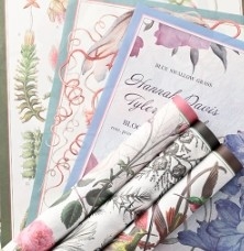ราคาดี กระดาษสีน้ํามัน กระดาษศิลปะ กลุ่มชีววิทยา กระดาษเฟงฮัว กระดาษกันน้ํา การจัดดอกไม้ กระดาษบรรจุดอกไม้ ออนไลน์
