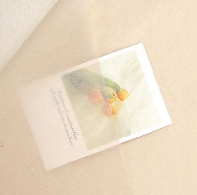 ราคาดี Effortlessly Elegant Korean-Style Copy Paper for Flower Wrapping and Gift Packaging ออนไลน์